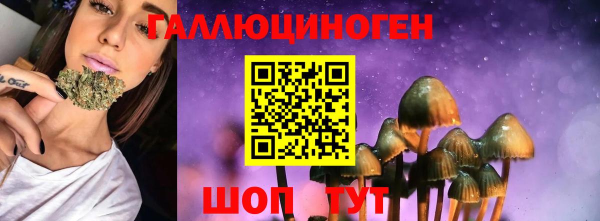 Псилоцибиновые грибы GOLDEN TEACHER Лабинск